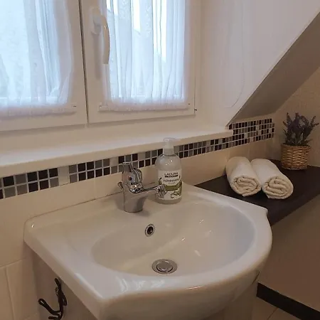 A Bringas 2 블로톤퓌레드