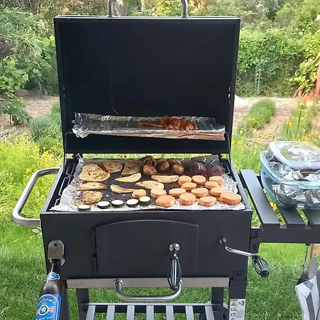 A Bringas 2 블로톤퓌레드